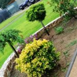 Căpățânenii Pământeni