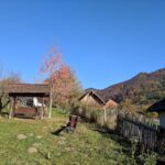 Căpățânenii Pământeni