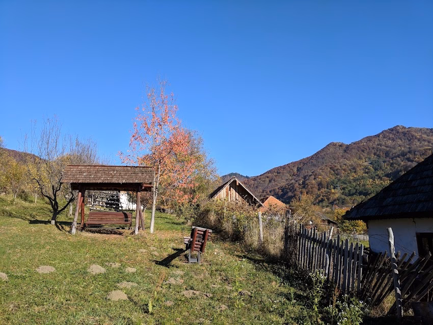 Căpățânenii Pământeni