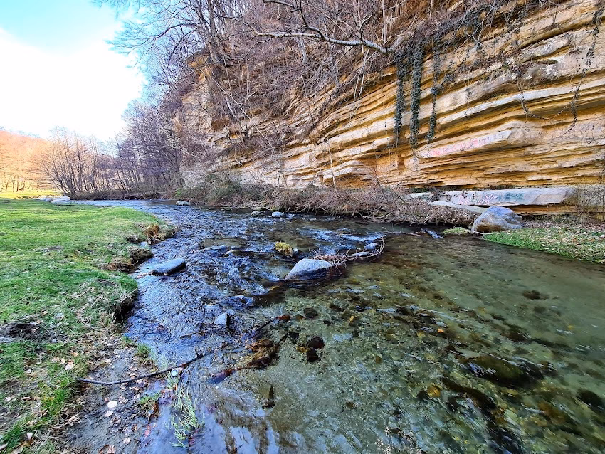 Căpățânenii Ungureni