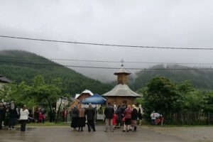 Capelița dintrun singur pin