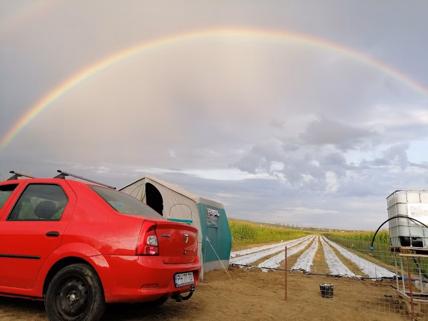 Căpșuni Beraca Valey