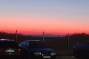 CargoPartner Expediții Srl