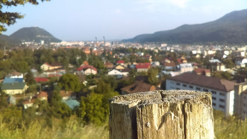 Cârlomanu