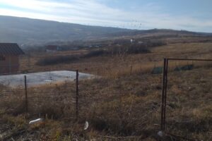 Cartier Rezidențial Frunză de Gorun