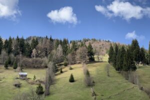 Casa Cosmin Moieciu de Sus