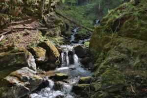 Casa de bilete Cascada Scoruș Malaia