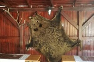 Casa De Vacanță Silvia Vărmaga