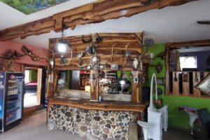 Casa din munte Strungari Alba