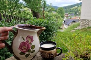 Casa Fierarul din Bucovina