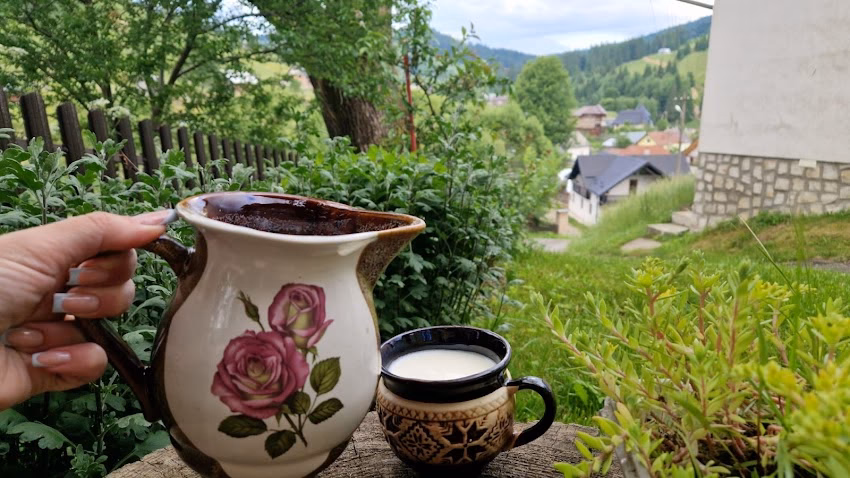 Casa Fierarul din Bucovina