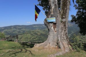 Casa Memorială Horea