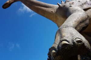 Casa pentru Știință și Artă