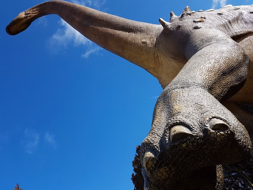 Casa pentru Știință și Artă