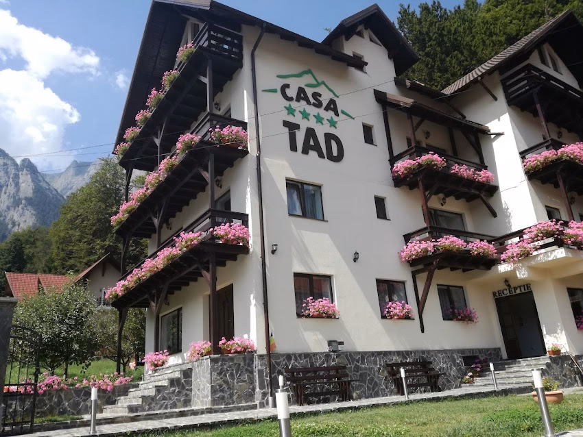 Casa Tad