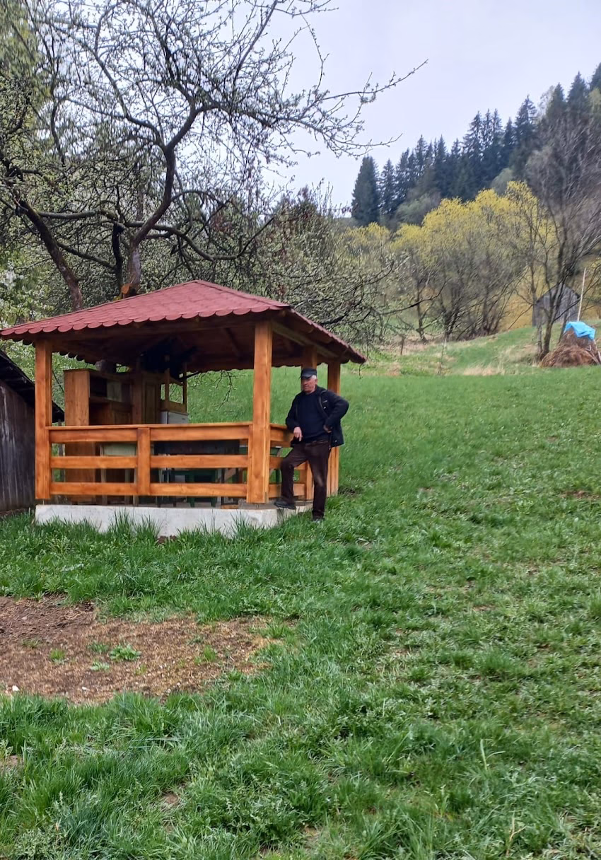 Casa Tradițională Proroc Borșa