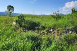 Castrul Roman Cumidava