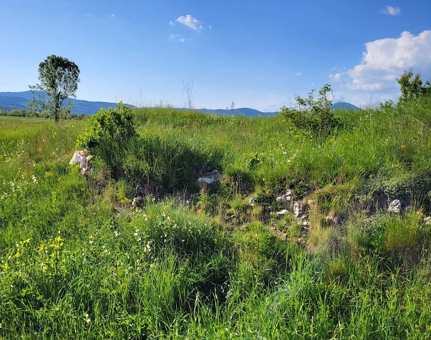 Castrul Roman Cumidava