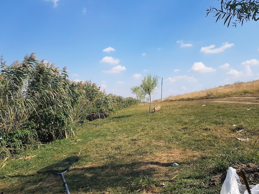 Cătrunești 3