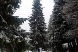 Cătun Casa de Piatră