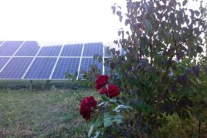 Centrul de Afaceri Multifuncțional Lumina Verde Ploiești