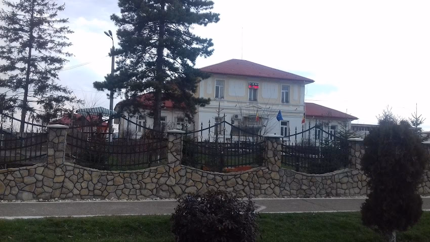 Centrul de Asistenţă MedicoSocială