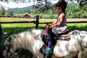 Centrul de Echitatie Diana