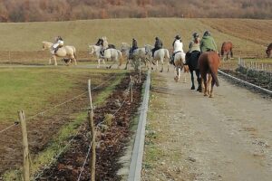 Centrul de echitatie Mentor