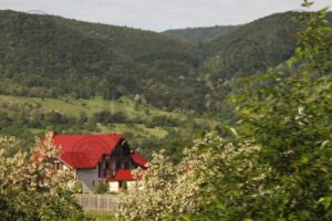 Centrul de Informare și Promovare Turistică