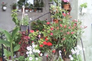 Centrul de Informare și Promovare Turistică