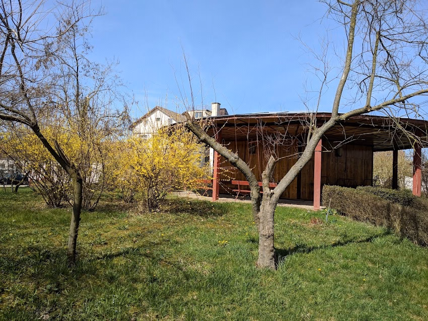 Centrul de Medicina Integrala