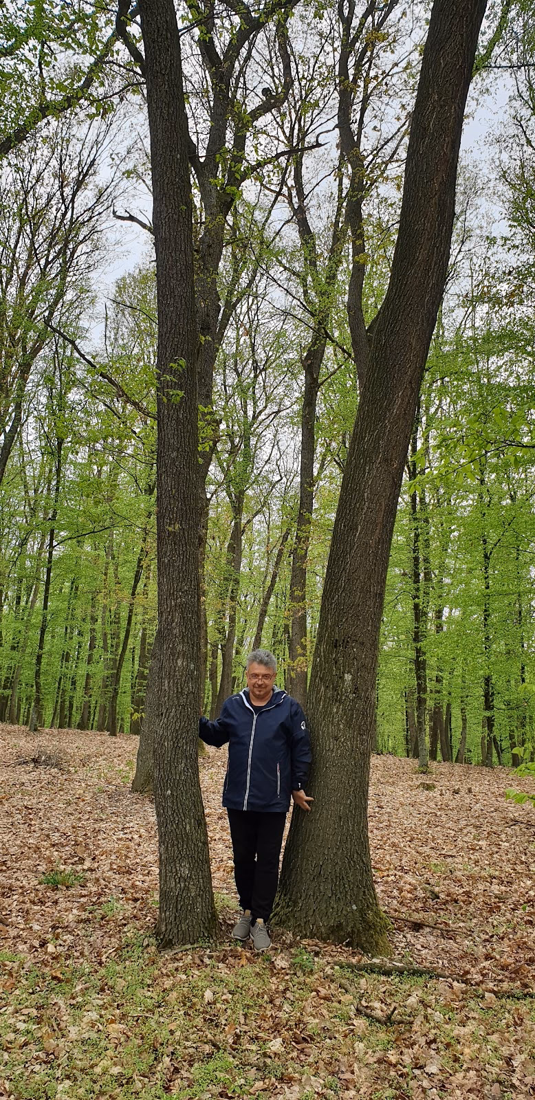 Centrul de Medicină Lifestyle Herghelia