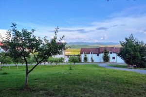 Centrul de Sănătate Dumbrava