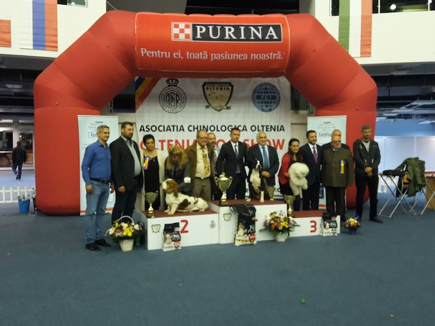 Centrul Multifuncțional