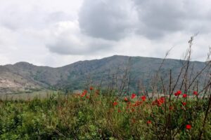 Centrul Național de Informare și Promovare Turistică Măcin