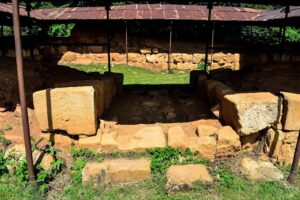 Cetatea Dacică Costești