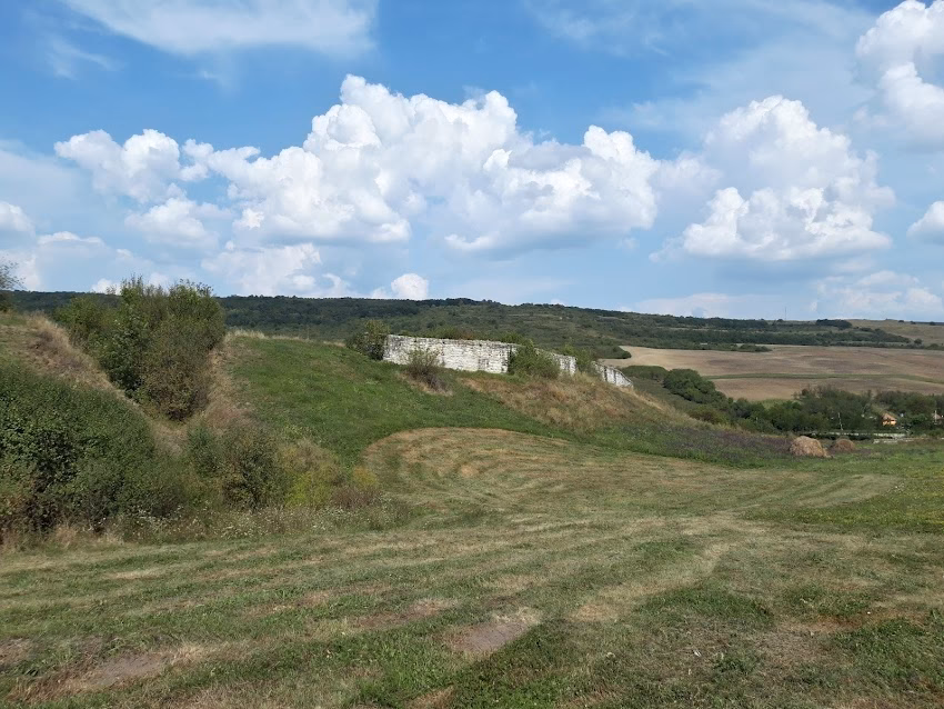 Cetatea Medievală Dăbâca