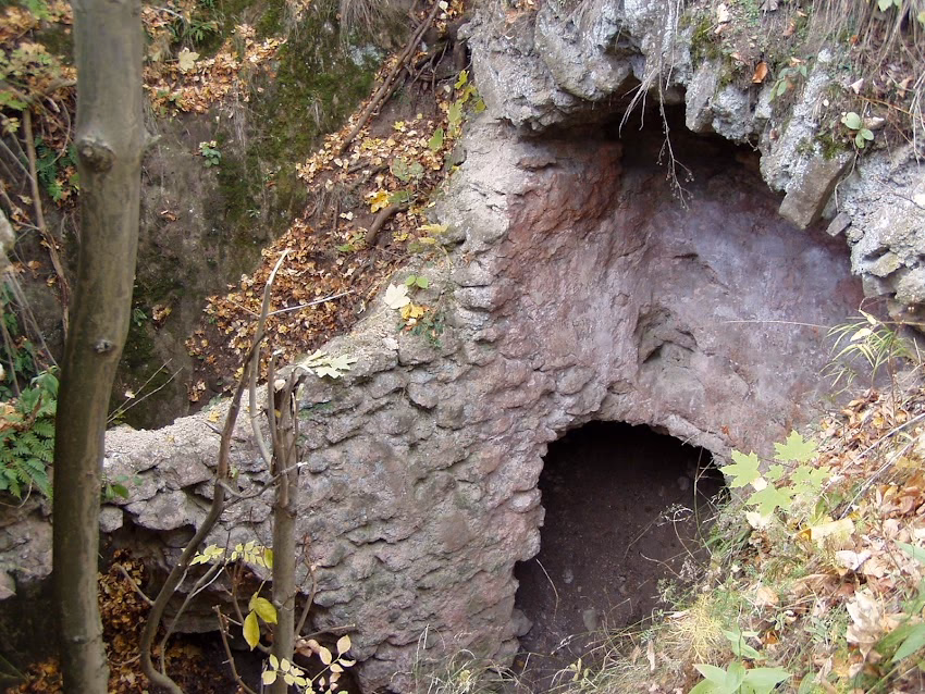 Cetatea Tăuțului