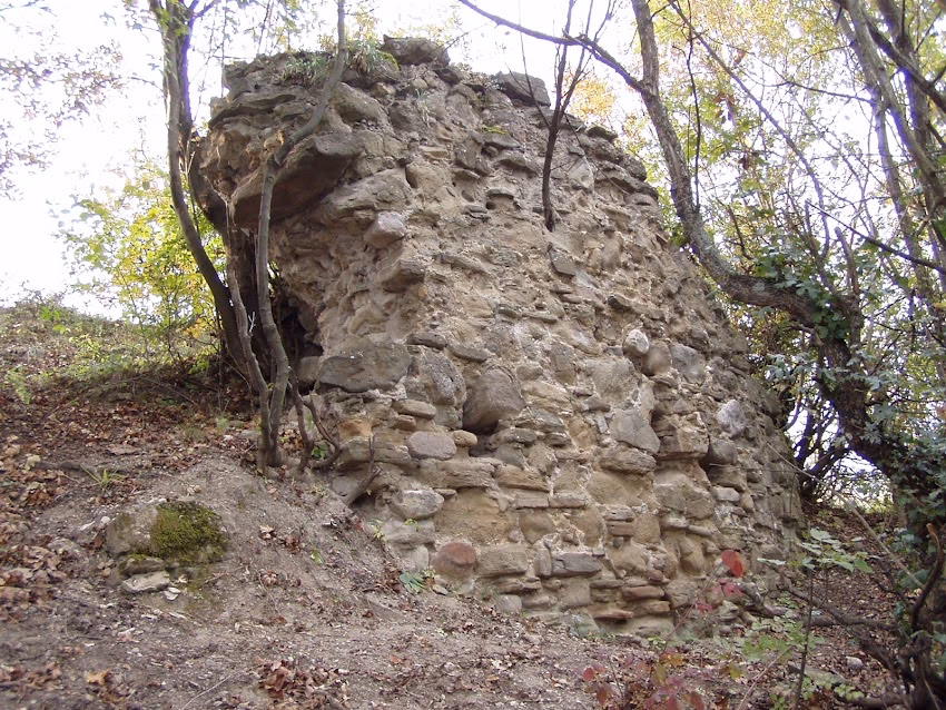 Cetatea Vurpăr Zebernicului