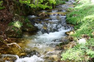 Cheile Dâmbovicioarei