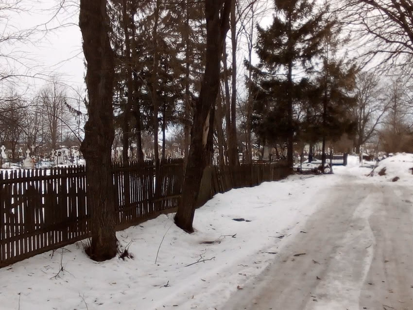 Cimitirul Fîntînele