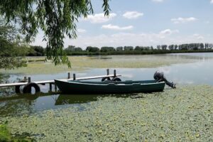 Ciocanesti Piscicola