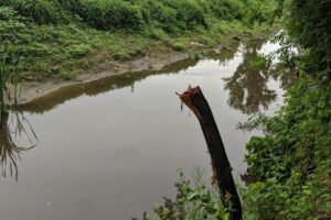 Ciolăneștii din Vale