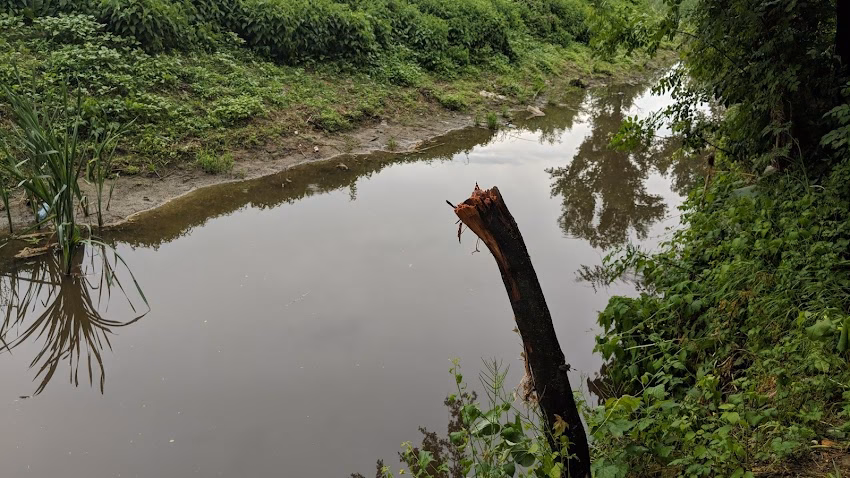 Ciolăneștii din Vale