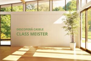 Class Meister case din lemn Citipro