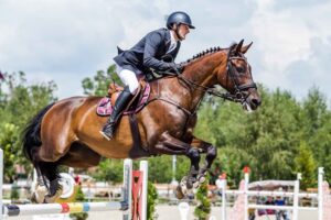 Clubul Sportiv Ecvestru 163 Plopi