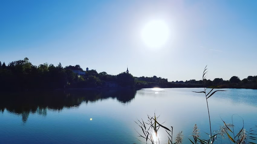 Cojești