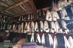 Colectia Etnograficafelicia Si Dionizie Olenici