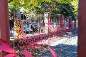 Colegiul Național Alexandru Papiu Ilarian