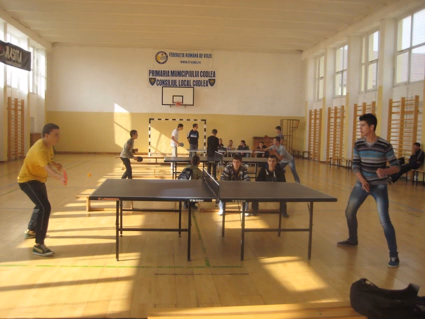 Colegiul Tehnic Simion Mehedinți Codlea